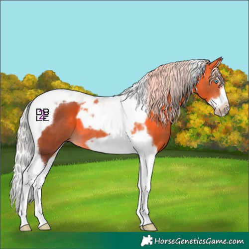 Horse Color:Silver Bay Splash Tobiano Frame 