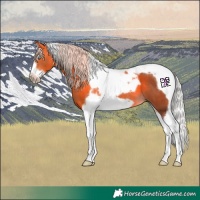 Horse Color:Silver Bay Splash Tobiano Frame 