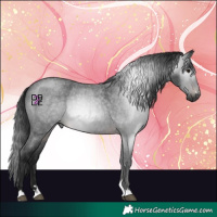 Horse Color:Gray Brown Roan Mushroom