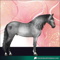 Horse Color:Gray Brown Roan Mushroom