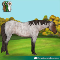 Horse Color:Liver Red Roan 
