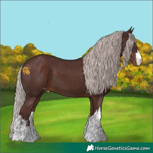 Horse Color:White Spotted Chocolate Silver Brown Varnish 