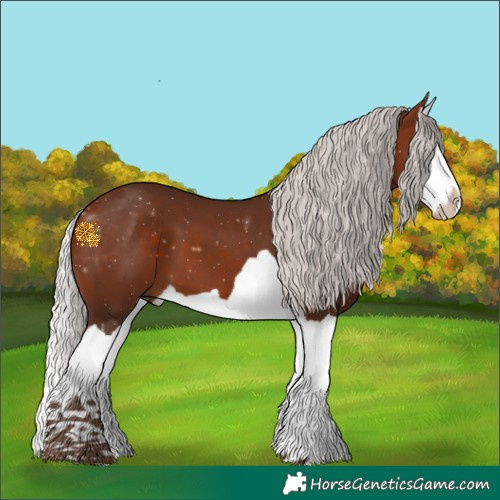 Horse Color:Silver Bay Splash 