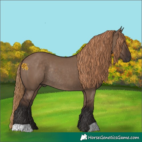 Horse Color:Liver Red Dun Rabicano 