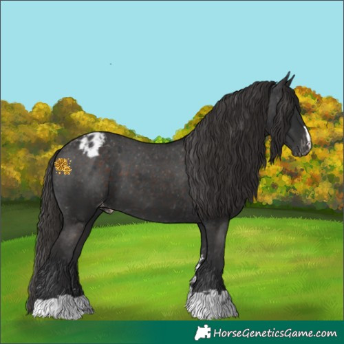 Horse Color:Liver Chestnut Varnish 
