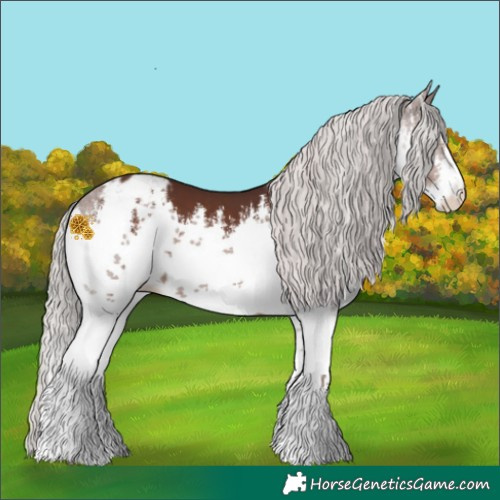 Horse Color:White Spotted Chocolate Silver Brown Blanket 