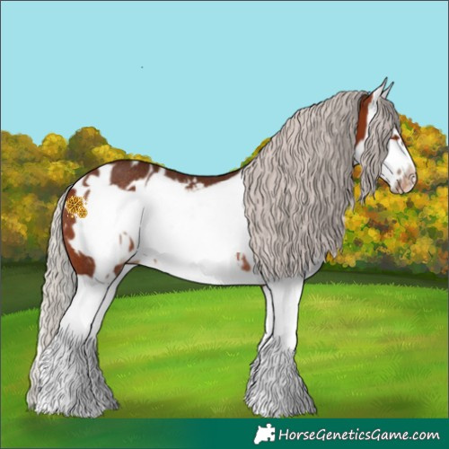Horse Color:Silver Bay Splash Frame Near Leopard Rabicano 
