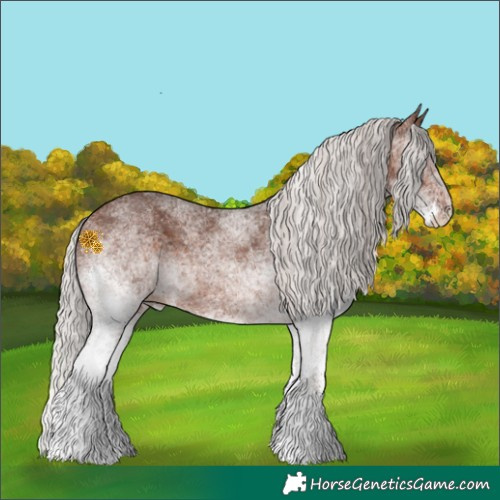 Horse Color:White Spotted Silver Brown 