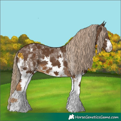 Horse Color:Chocolate Palomino Sabino 