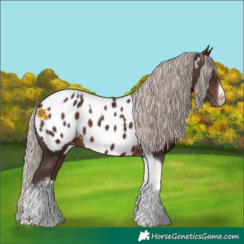 Horse Color:White Spotted Silver Brown Tobiano Appaloosa 