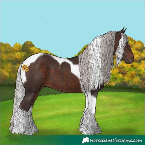 Horse Color:Silver Brown Tobiano 