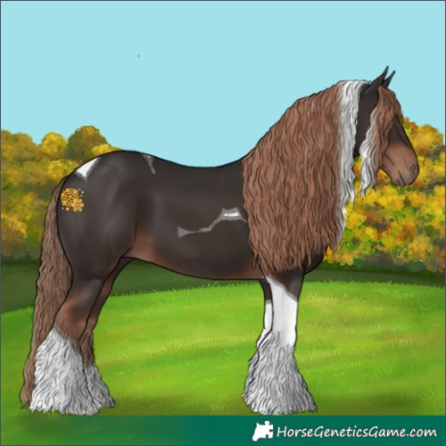 Horse Color:Liver Chestnut Tobiano 