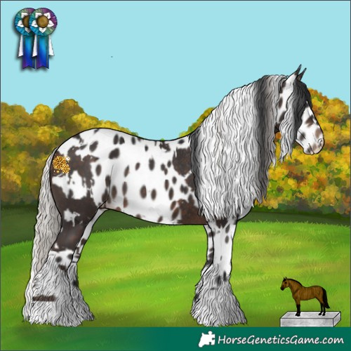 Horse Color:White Spotted Silver Brown Rabicano  and Brown Leopard 