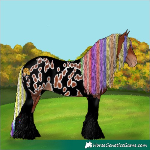 Horse Color:Painted Chocolate Silver Brown Tobiano Appaloosa 