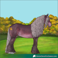 Horse Color:Silver Brown