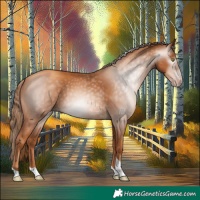 Horse Color:Gray Gold Champagne Tobiano