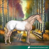 Horse Color:Red Roan Snowcap
