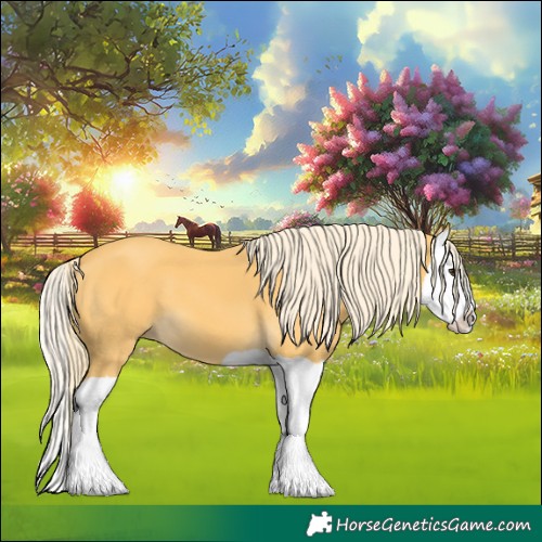 Horse Color:Palomino Splash 