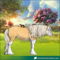 Horse Color:Palomino Splash 