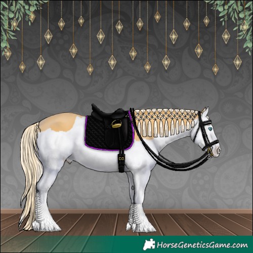 Horse Color:Palomino Splash 