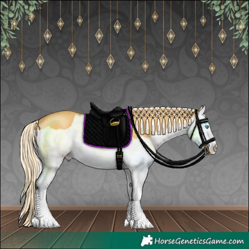 Horse Color:Palomino Splash 