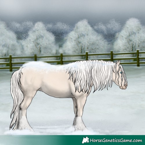 Horse Color:Cremello 