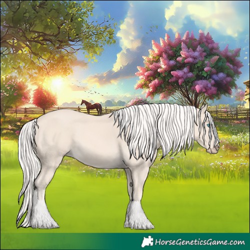 Horse Color:Cremello 