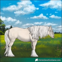 Horse Color:Cremello