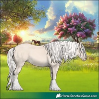 Horse Color:Cremello 
