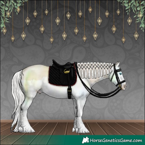 Horse Color:Cremello Splash 