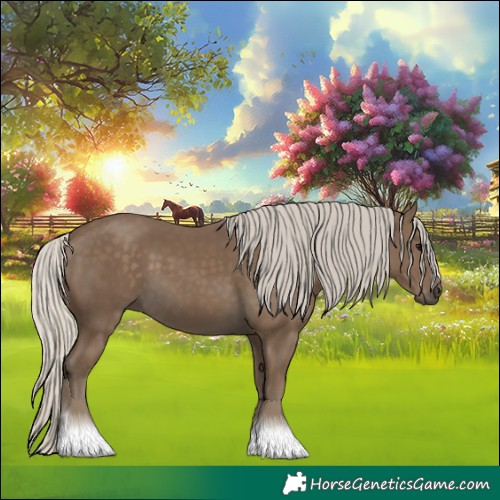 Horse Color:Silver Smoky Black 