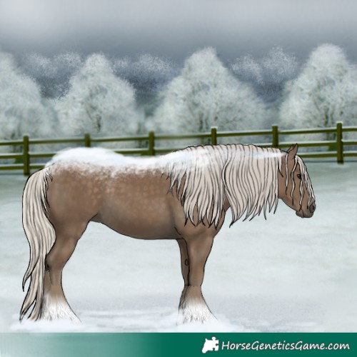 Horse Color:Silver Smoky Black 
