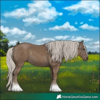 Horse Color:Silver Smoky Black