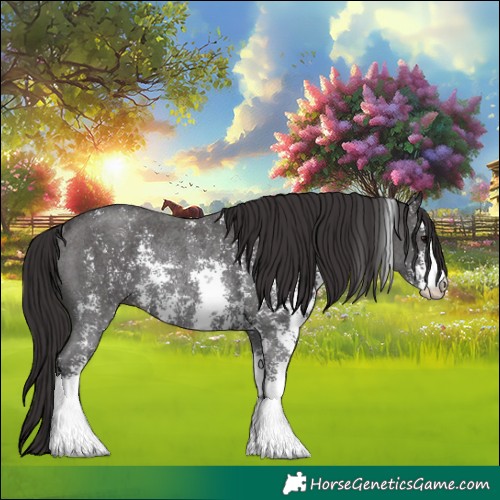 Horse Color:Smoky Black Sabino Rabicano 