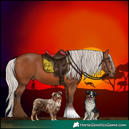 Horse Color:Silver Bay