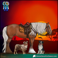 Horse Color:Silver Bay