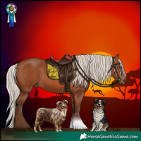 Horse Color:Silver Bay 