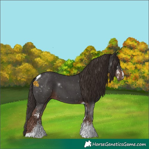 Horse Color:Liver Chestnut Sabino Tobiano 