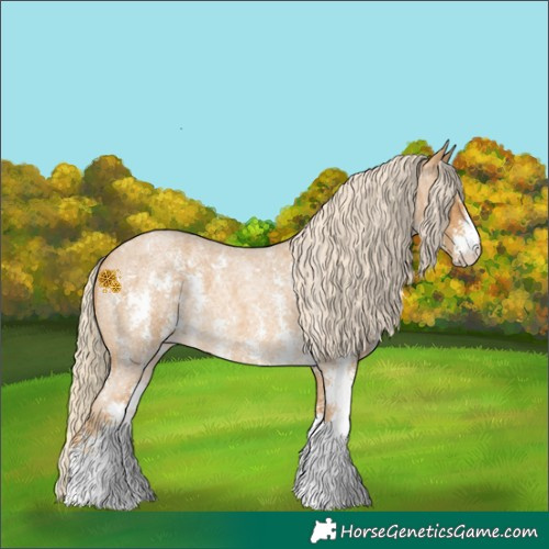 Horse Color:Palomino Roan Sabino 