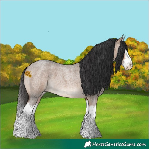Horse Color:Bay Roan Dun Splash 