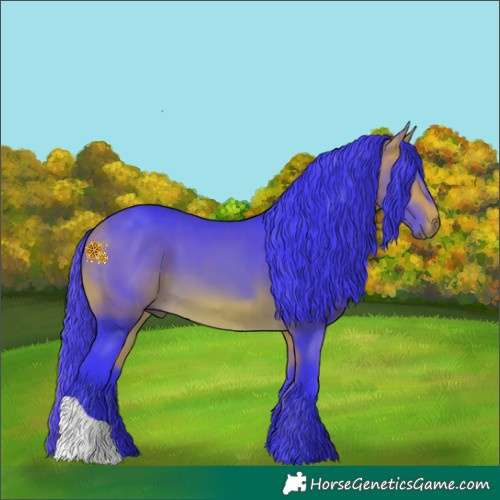 Horse Color:Watercolor Buckskin 