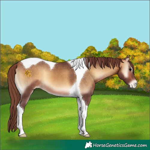 Horse Color:Chocolate Buckskin Onyx Tobiano Varnish 