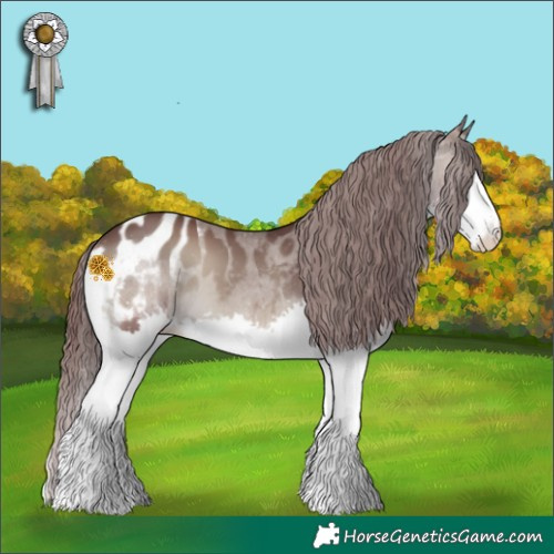 Horse Color:Chocolate Blue Onyx Splash Appaloosa 