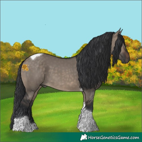 Horse Color:Brown Dun Tobiano 