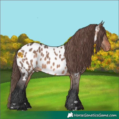 Horse Color:Brown Dun Mushroom Blanket 