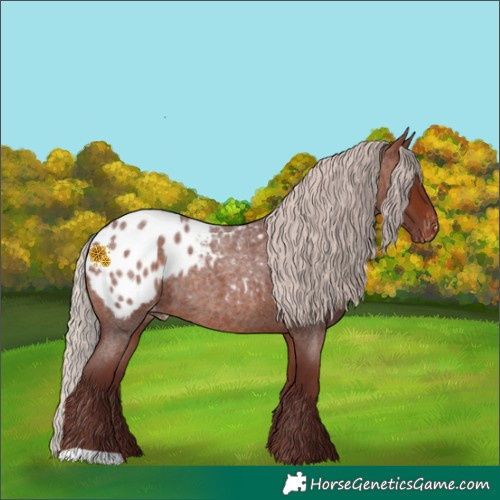 Horse Color:Chocolate Silver Brown Roan Blanket Rabicano 