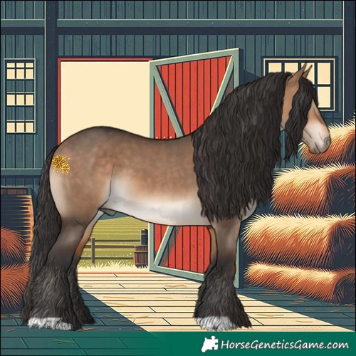 Horse Color:Brown Dun 