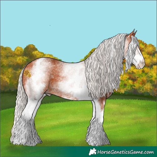 Horse Color:White Spotted Silver Bay 