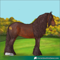 Horse Color:Chocolate Brown 