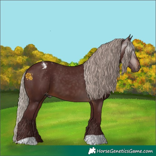 Horse Color:Gray Chocolate Silver Brown Varnish 
